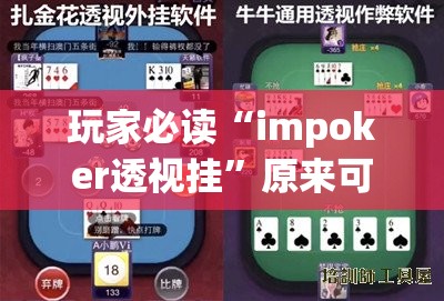 玩家必读“impoker透视挂	”原来可以开挂