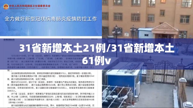 31省新增本土21例/31省新增本土61例v 31省新增本土21例/31省新增本土61例v