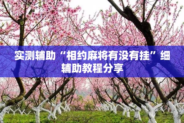 实测辅助“相约麻将有没有挂	”细辅助教程分享