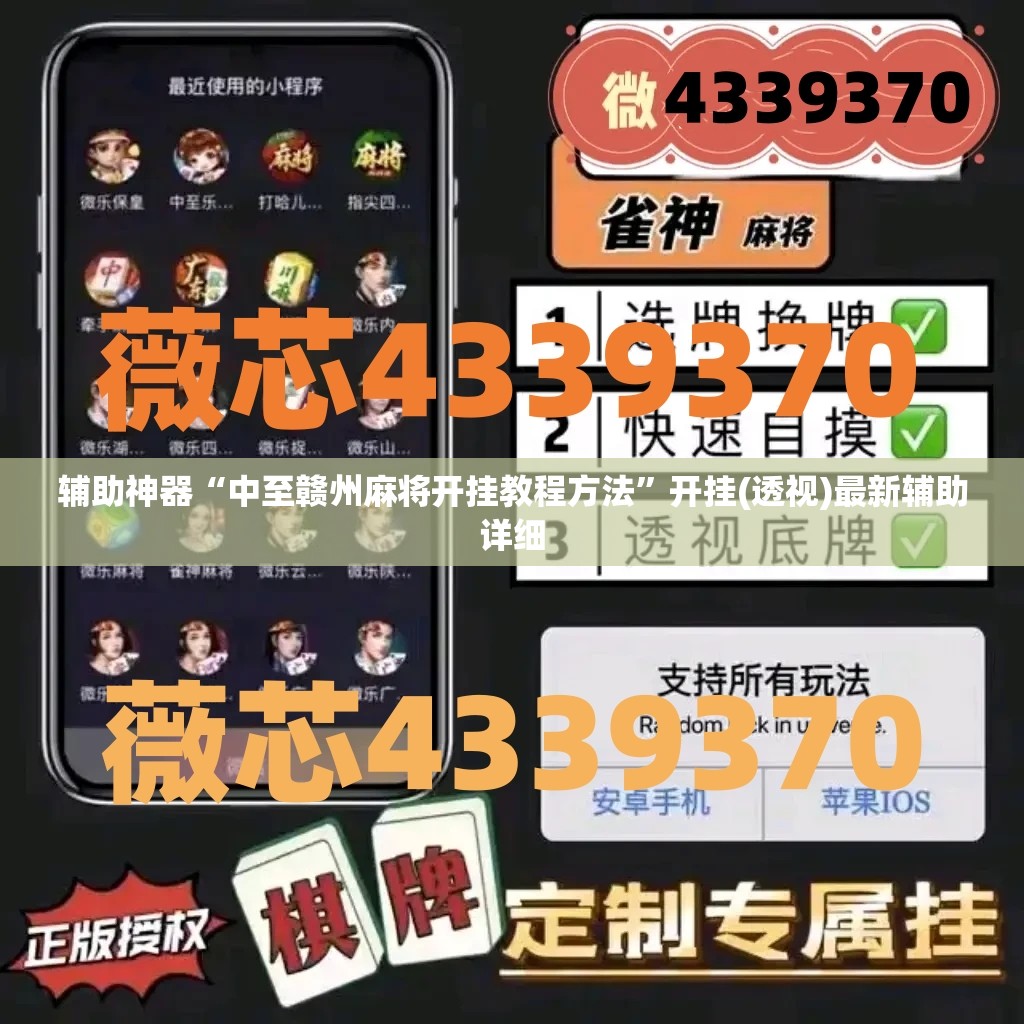 辅助神器“中至赣州麻将开挂教程方法”开挂(透视)最新辅助详细
