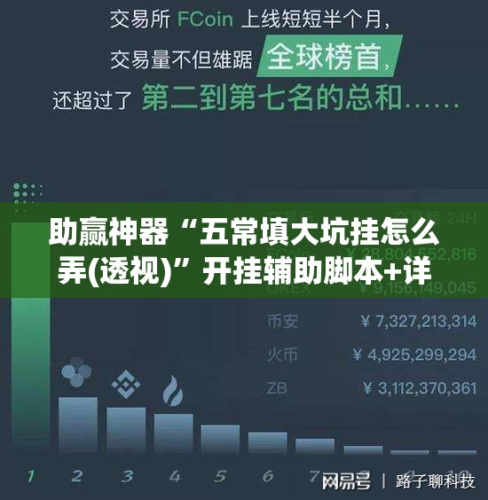 助赢神器“五常填大坑挂怎么弄(透视)”开挂辅助脚本+详细开挂安装教程