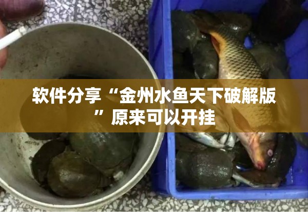 软件分享“金州水鱼天下破解版”原来可以开挂