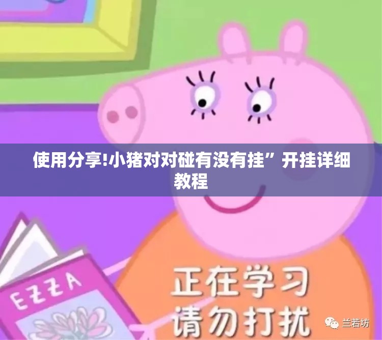 使用分享!小猪对对碰有没有挂”开挂详细教程