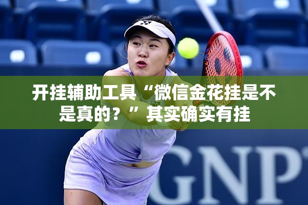 开挂辅助工具“微信金花挂是不是真的？”其实确实有挂