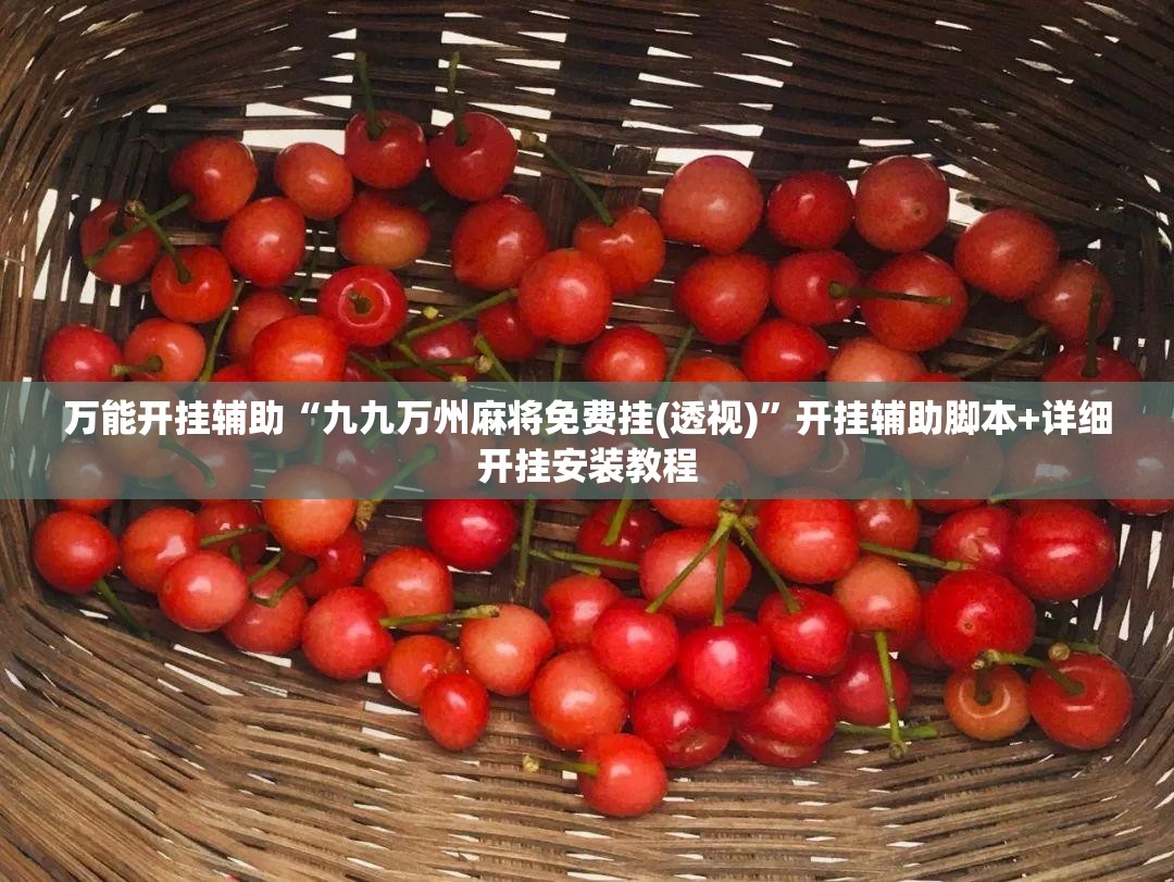 万能开挂辅助“九九万州麻将免费挂(透视)”开挂辅助脚本+详细开挂安装教程