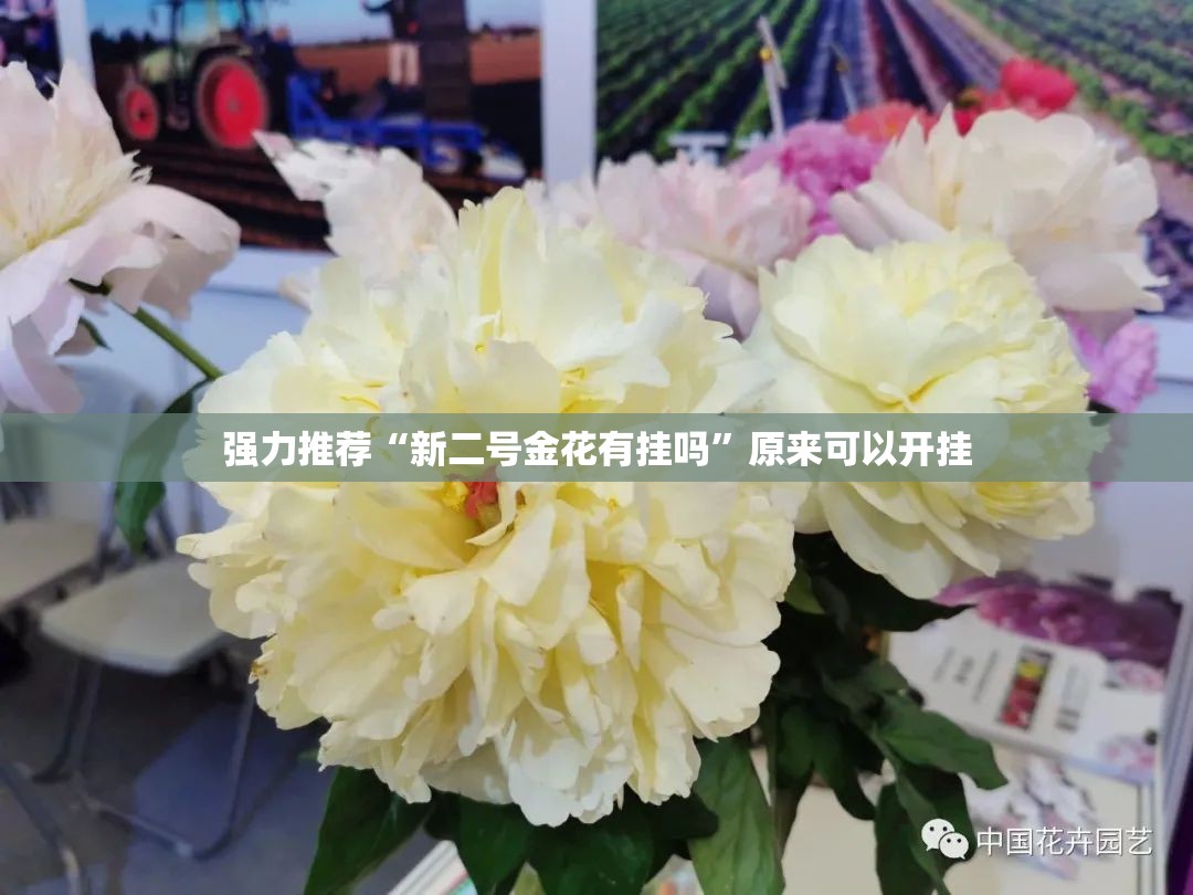 强力推荐“新二号金花有挂吗”原来可以开挂
