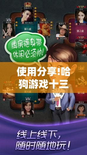 使用分享!哈狗游戏十三道辅助”详细分享装挂步骤