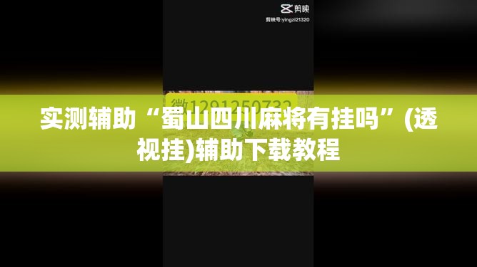 实测辅助“蜀山四川麻将有挂吗”(透视挂)辅助下载教程