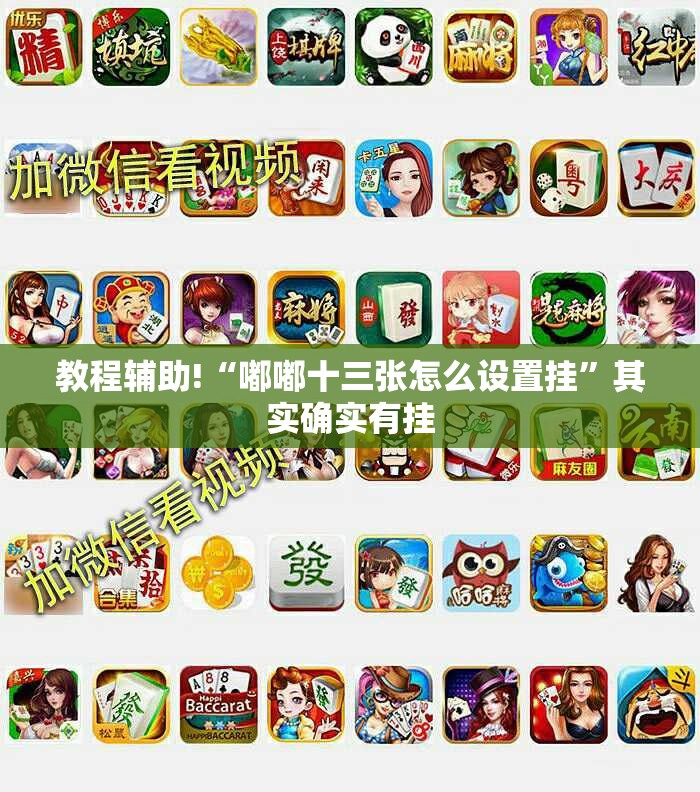 教程辅助!“嘟嘟十三张怎么设置挂”其实确实有挂