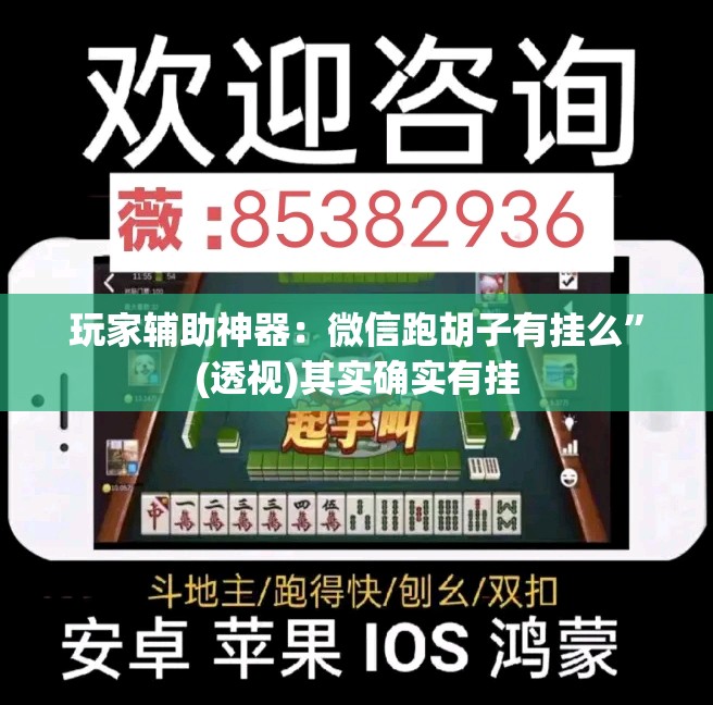 玩家辅助神器：微信跑胡子有挂么”(透视)其实确实有挂