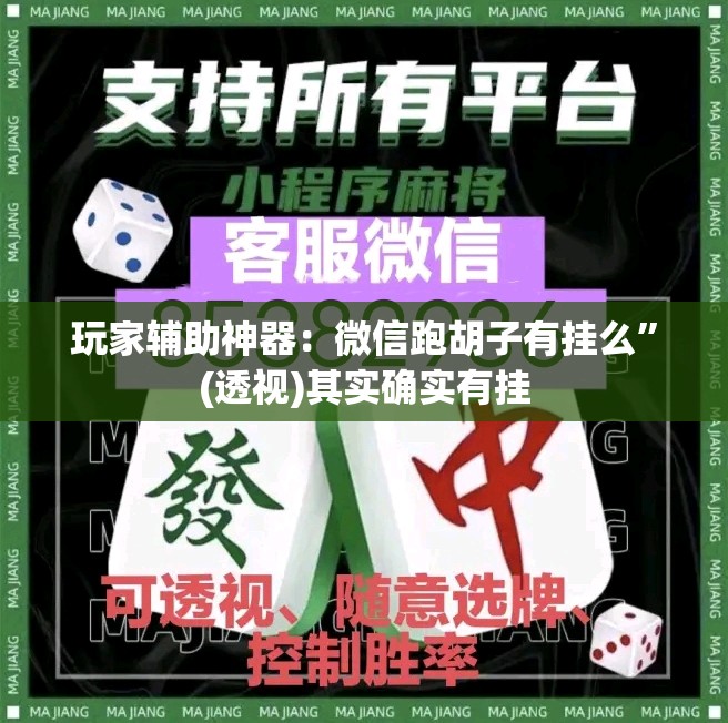 玩家辅助神器：微信跑胡子有挂么”(透视)其实确实有挂