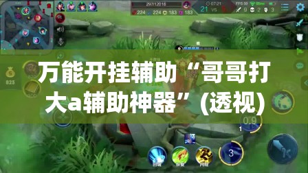 万能开挂辅助“哥哥打大a辅助神器”(透视)其实确实有挂