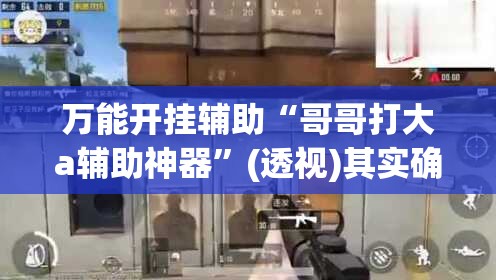 万能开挂辅助“哥哥打大a辅助神器”(透视)其实确实有挂