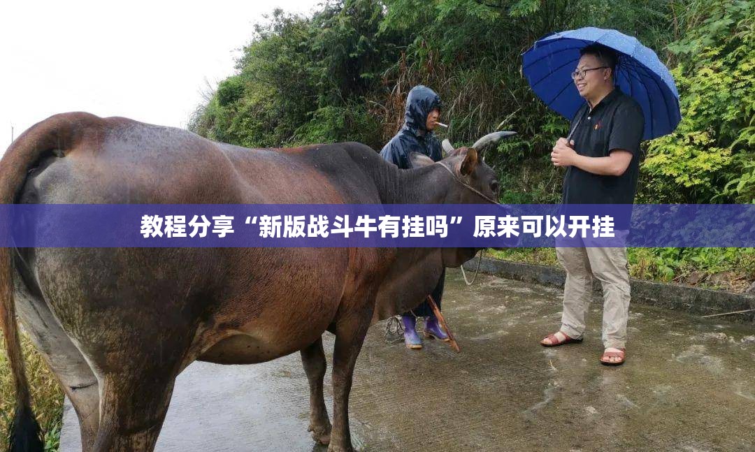教程分享“新版战斗牛有挂吗”原来可以开挂