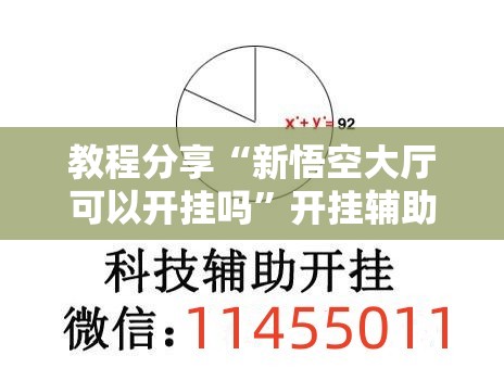教程分享“新悟空大厅可以开挂吗”开挂辅助脚本+详细开挂安装教程