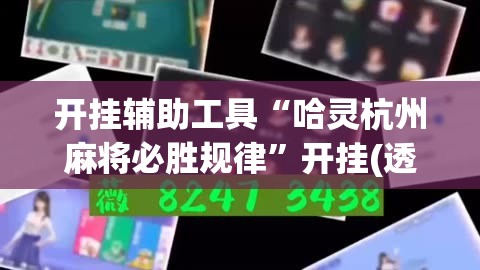 开挂辅助工具“哈灵杭州麻将必胜规律”开挂(透视)辅助神器