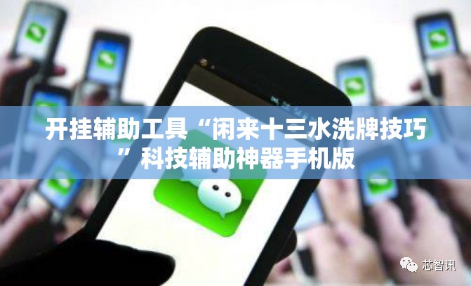 开挂辅助工具“闲来十三水洗牌技巧	”科技辅助神器手机版