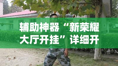 辅助神器“新荣耀大厅开挂”详细开挂教程
