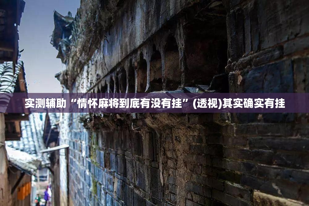 实测辅助“情怀麻将到底有没有挂”(透视)其实确实有挂