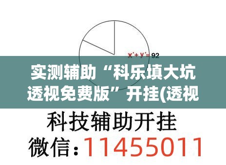 实测辅助“科乐填大坑透视免费版”开挂(透视)辅助神器