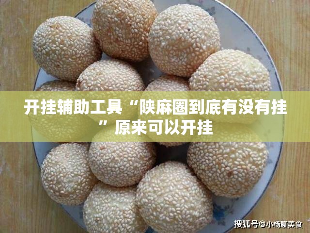 开挂辅助工具“陕麻圈到底有没有挂”原来可以开挂