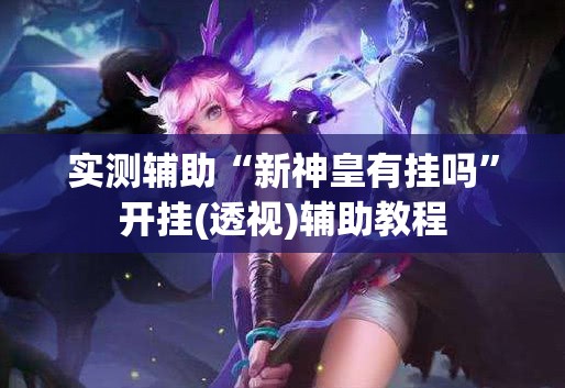 实测辅助“新神皇有挂吗”开挂(透视)辅助教程