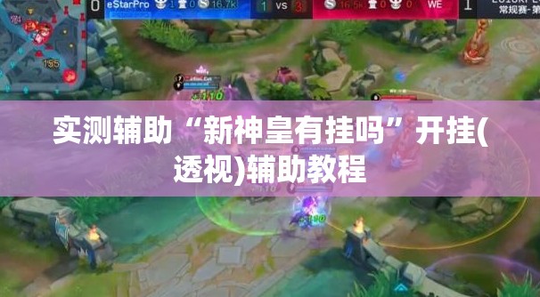实测辅助“新神皇有挂吗”开挂(透视)辅助教程