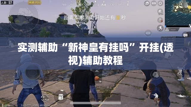 实测辅助“新神皇有挂吗”开挂(透视)辅助教程