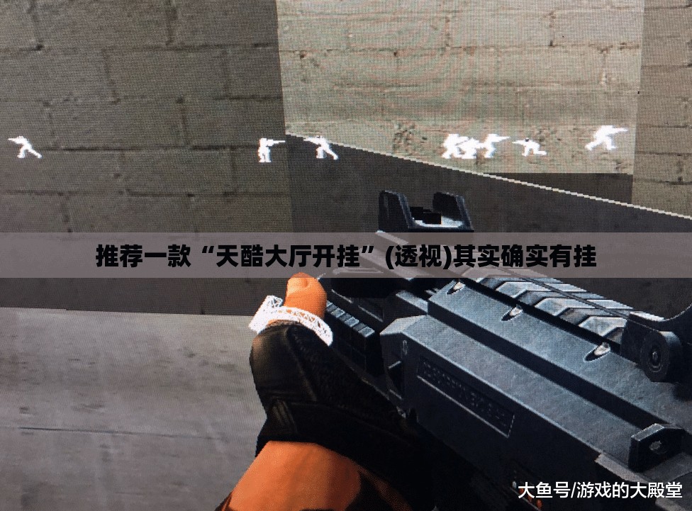 推荐一款“天酷大厅开挂”(透视)其实确实有挂