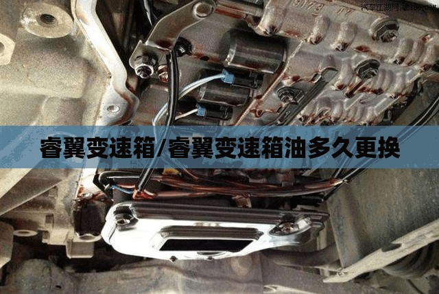 睿翼变速箱/睿翼变速箱油多久更换 睿翼变速箱/睿翼变速箱油多久更换