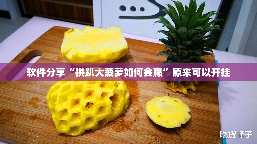软件分享“拱趴大菠萝如何会赢”原来可以开挂