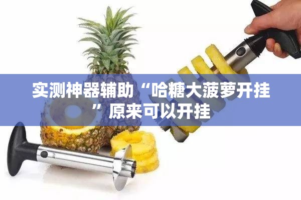 实测神器辅助“哈糖大菠萝开挂”原来可以开挂