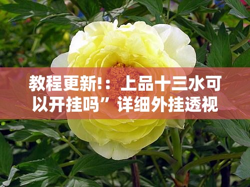 教程更新!：上品十三水可以开挂吗	”详细外挂透视辅助软件教程