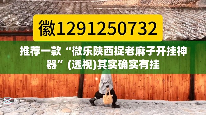 推荐一款“微乐陕西捉老麻子开挂神器”(透视)其实确实有挂