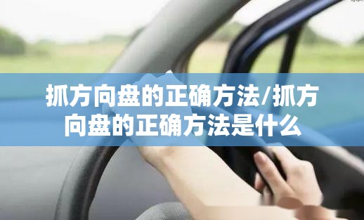 抓方向盘的正确方法/抓方向盘的正确方法是什么 抓方向盘的正确方法/抓方向盘的正确方法是什么