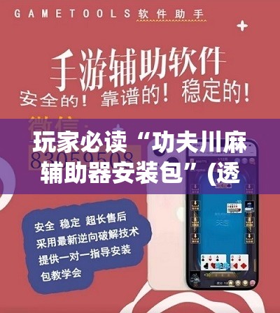 玩家必读“功夫川麻辅助器安装包”(透视)其实确实有挂