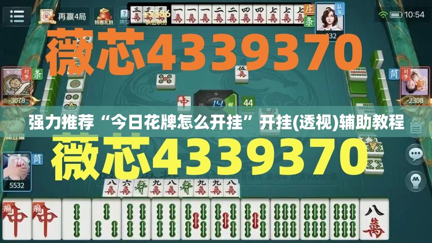 强力推荐“今日花牌怎么开挂”开挂(透视)辅助教程
