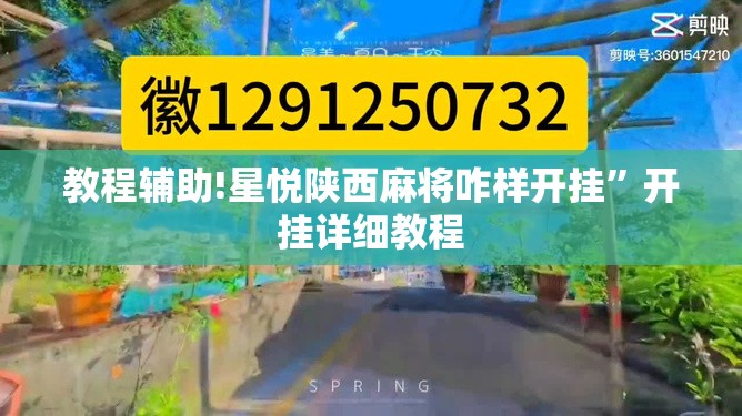 教程辅助!星悦陕西麻将咋样开挂”开挂详细教程