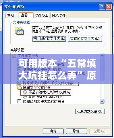 可用版本“五常填大坑挂怎么弄”原来可以开挂