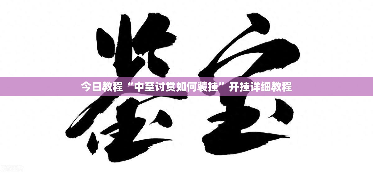 今日教程“中至讨赏如何装挂”开挂详细教程