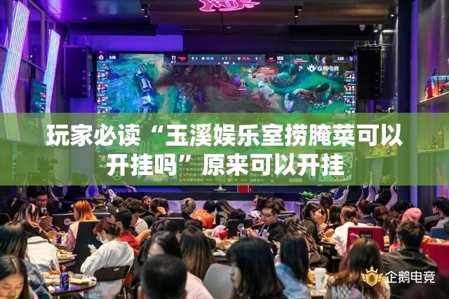 玩家必读“玉溪娱乐室捞腌菜可以开挂吗”原来可以开挂