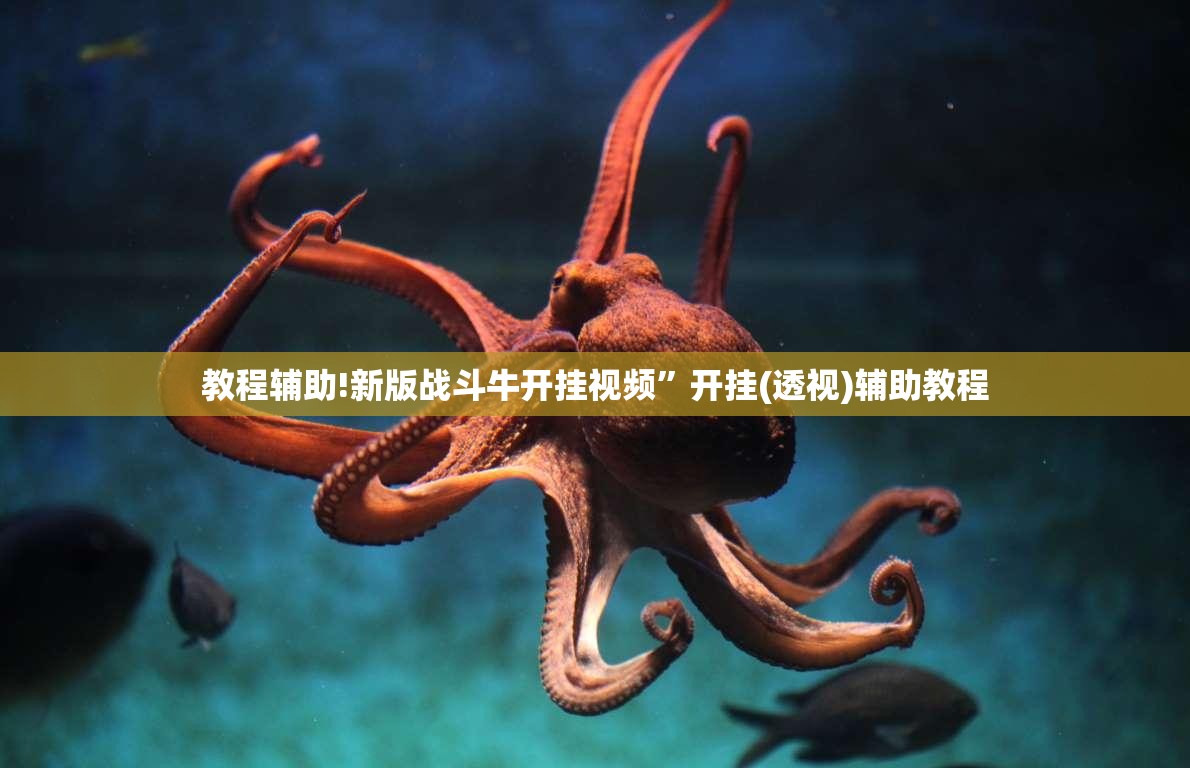 教程辅助!新版战斗牛开挂视频”开挂(透视)辅助教程