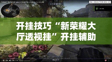 开挂技巧“新荣耀大厅透视挂”开挂辅助脚本+详细开挂安装教程