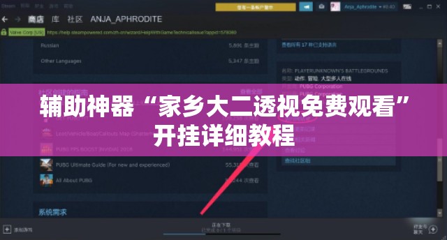 辅助神器“家乡大二透视免费观看”开挂详细教程