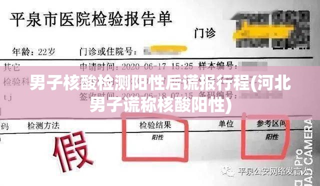 男子核酸检测阳性后谎报行程(河北男子谎称核酸阳性)
