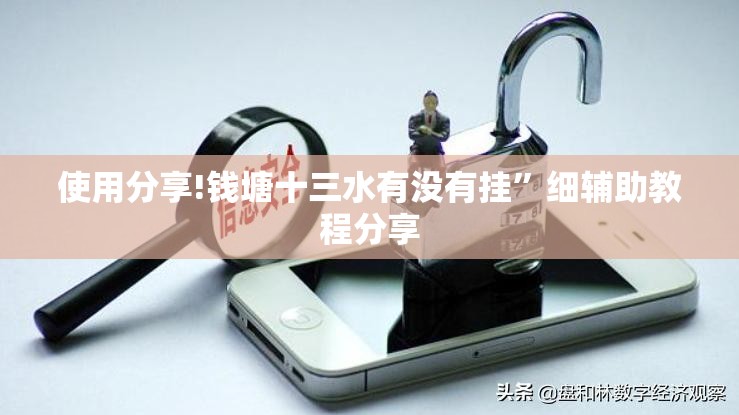 使用分享!钱塘十三水有没有挂”细辅助教程分享
