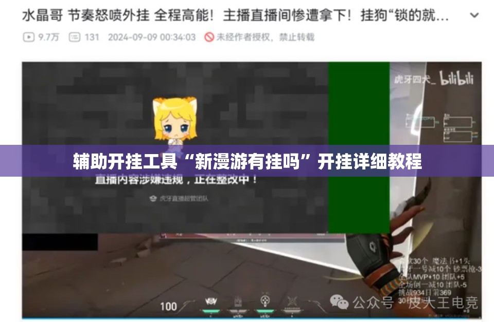 辅助开挂工具“新漫游有挂吗”开挂详细教程