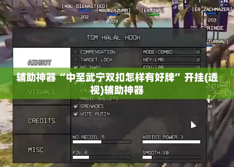 辅助神器“中至武宁双扣怎样有好牌	”开挂(透视)辅助神器