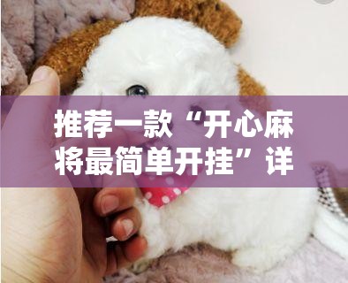 推荐一款“开心麻将最简单开挂”详细分享装挂步骤