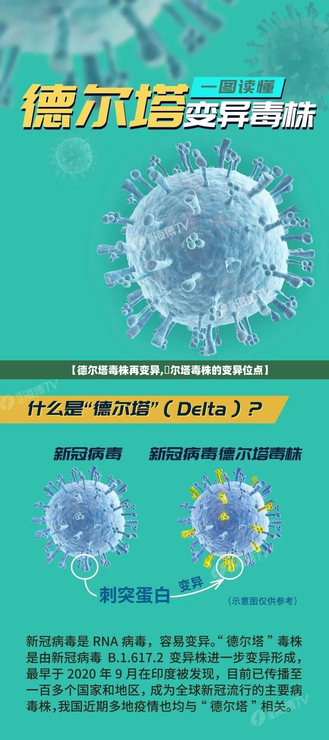 【德尔塔毒株再变异,徳尔塔毒株的变异位点】 【德尔塔毒株再变异,徳尔塔毒株的变异位点】